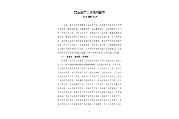 安全述职报告