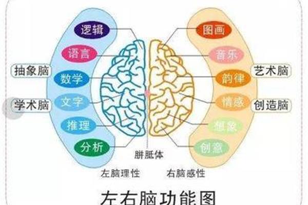 方法的意思