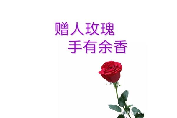 赠人玫瑰手有余香
