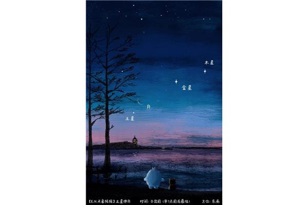 老夫夜观天象