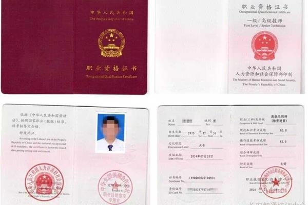 职业证书查询