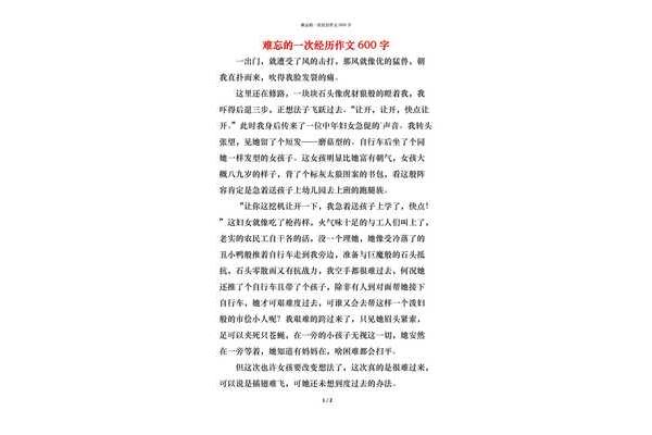 难忘的一次经历