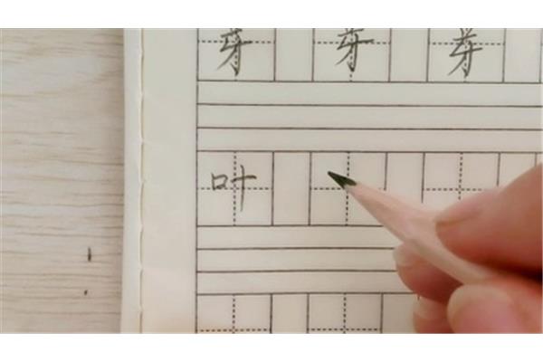 带有提手旁的字