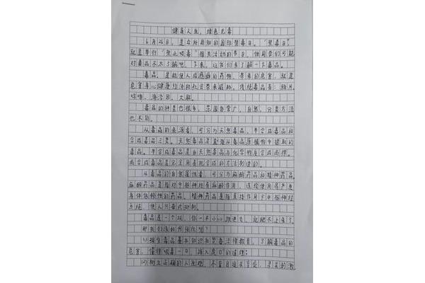 关于书法的作文