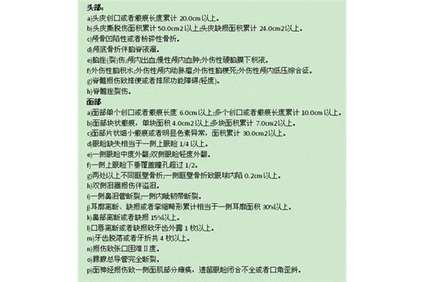 轻伤鉴定标准