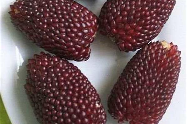 草莓是什么形状