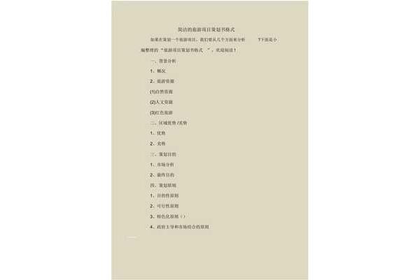 策划案模板