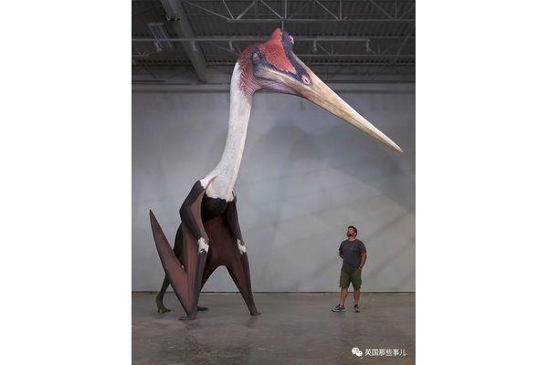 一米八模型