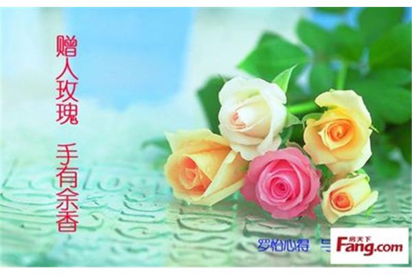 赠人玫瑰手有余香