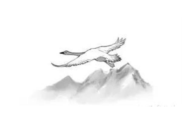 鹜是什么意思