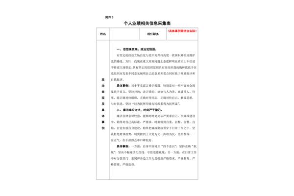 个人政治表现