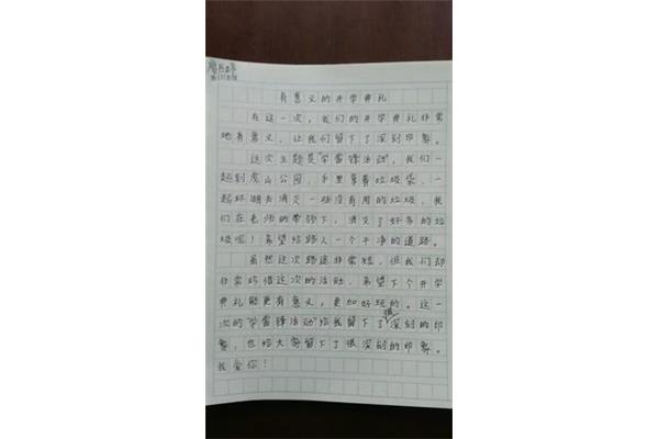 关于书法的作文