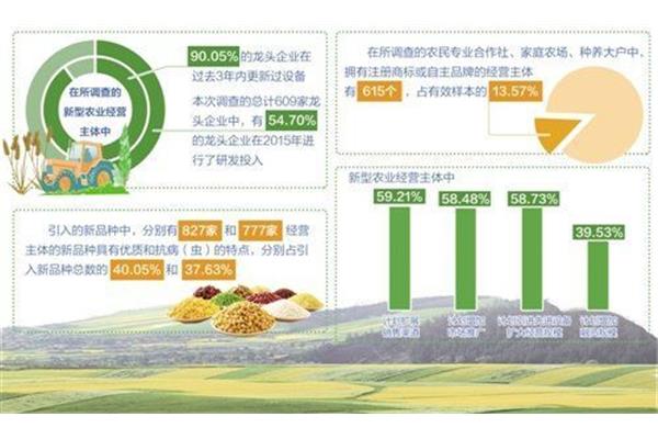 农业经营主体