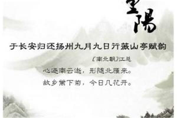 适合做网名的诗句