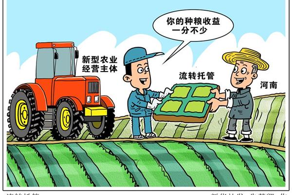 农业经营主体