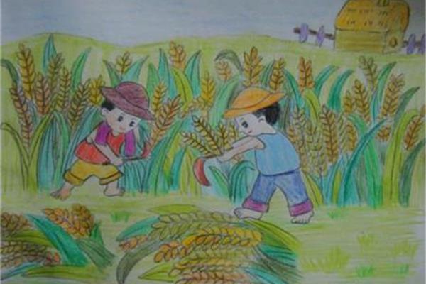 秋天的图画