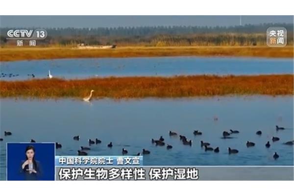 如何保护湿地