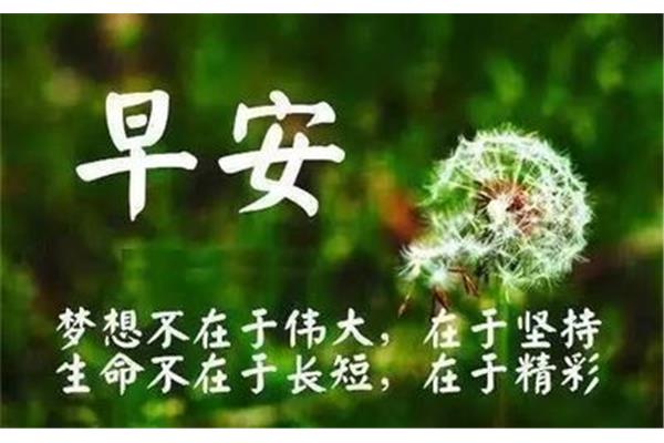 生活感悟经典句子