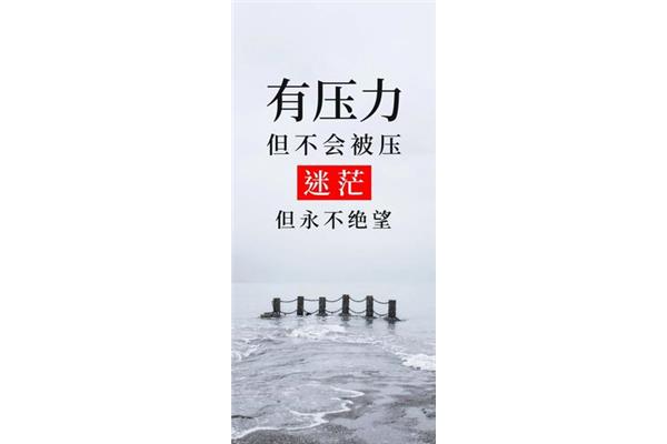 拼搏的句子