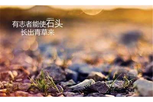 励志网名大全