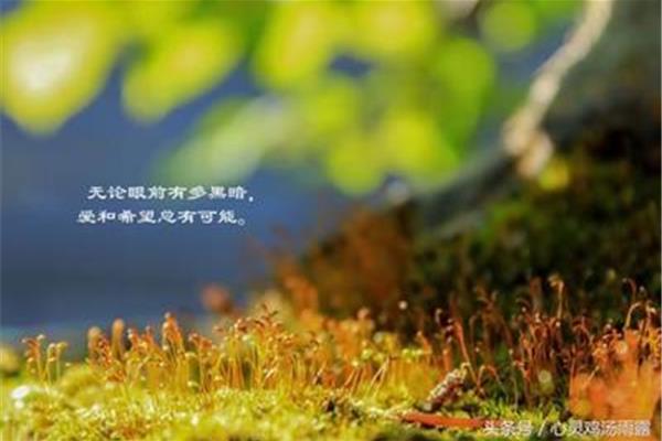 拼搏的句子