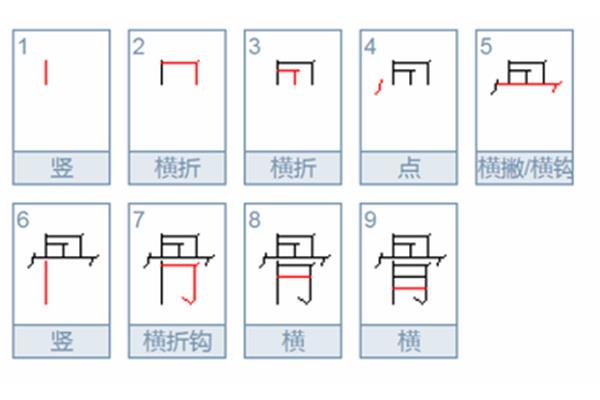 骨是多音字吗