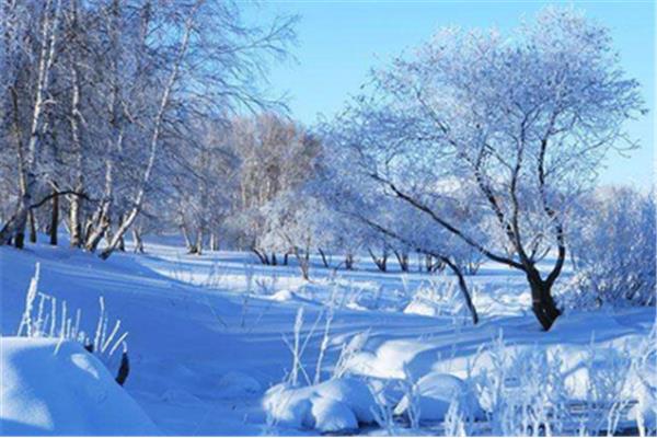 表达雪景的诗句