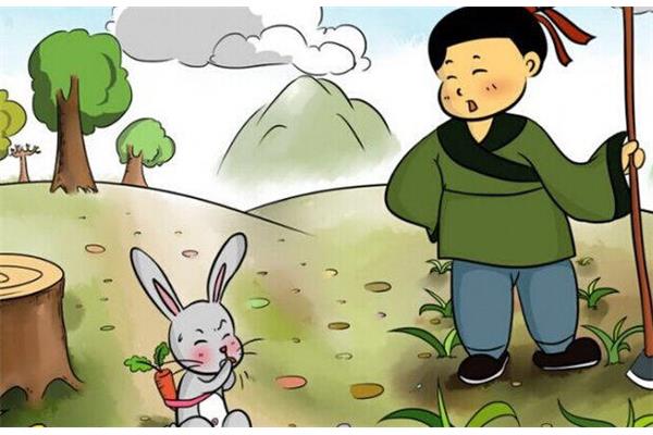 含兔的成语