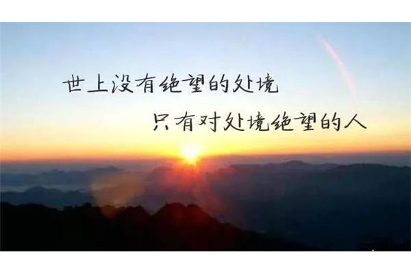 你若懂我经典语录