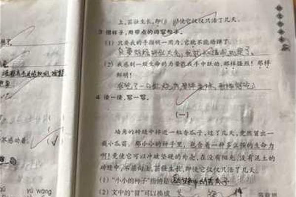 造句怎么造句
