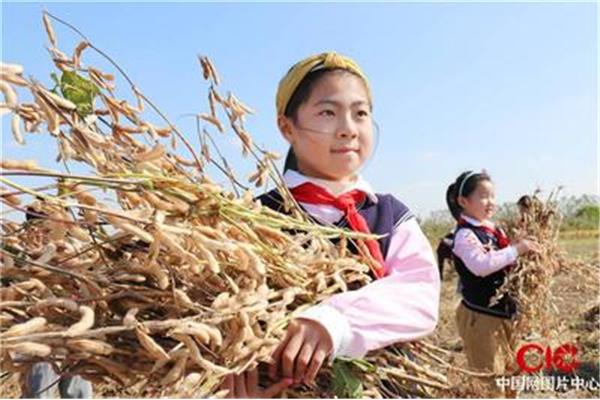 学习的收获