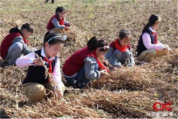 学习的收获