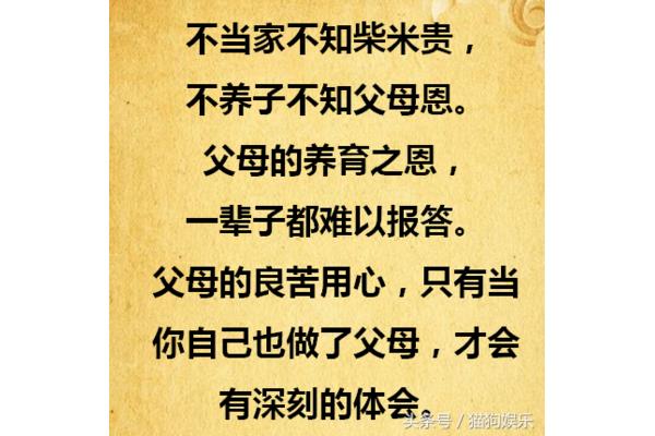 报答恩情的句子