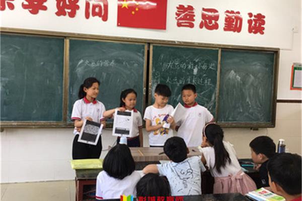综合实践课