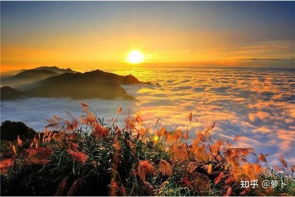 关于风景的文案