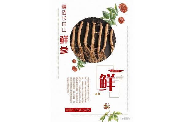 补气是什么意思