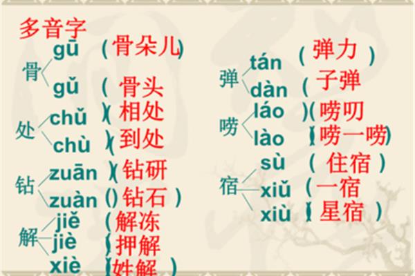 骨是多音字吗