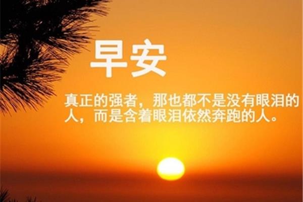 拼搏的句子