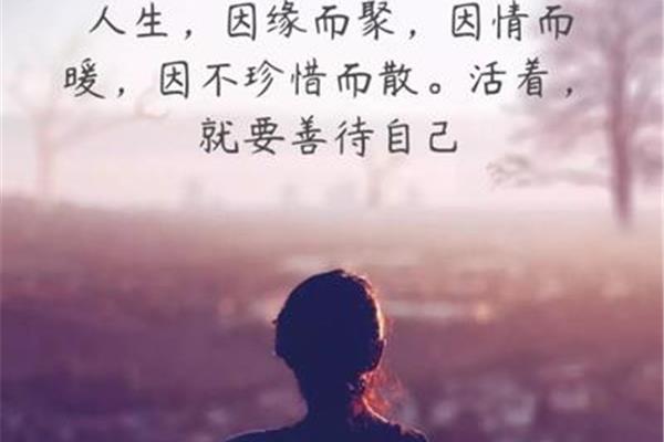 生活感悟经典句子