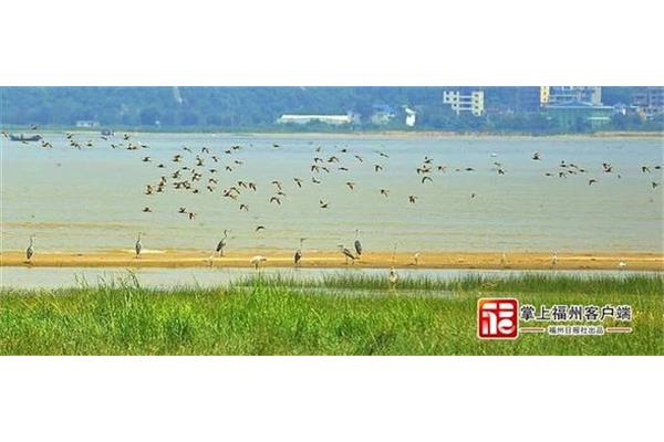如何保护湿地