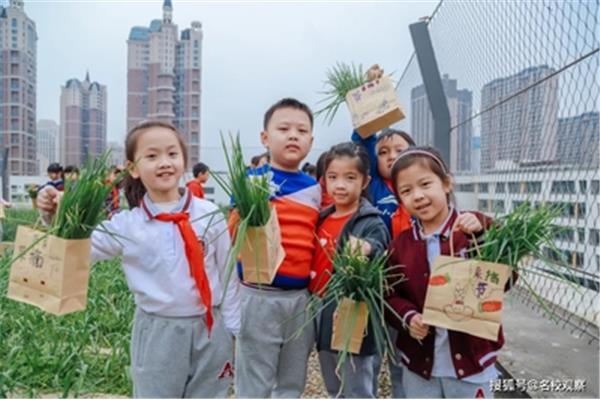 学习的收获