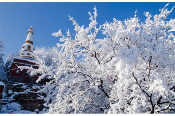 表达雪景的诗句