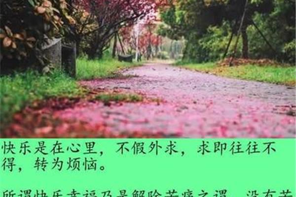 生活感悟经典句子