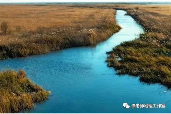 如何保护湿地