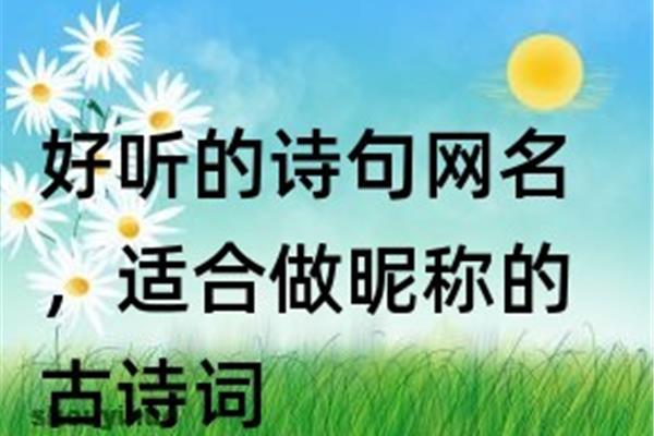 适合做网名的诗句