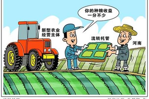 农业经营主体