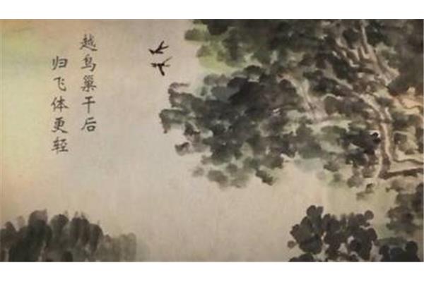 春去夏犹清