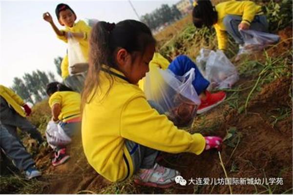 学习的收获