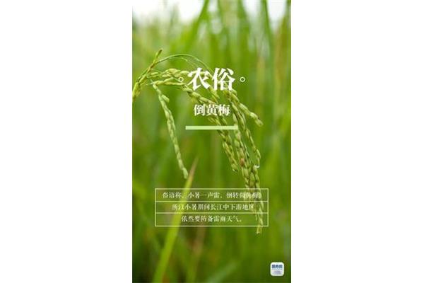 农谚的意思