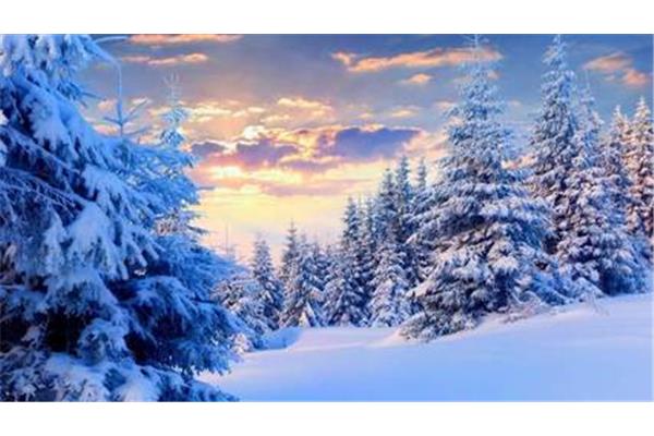 表达雪景的诗句